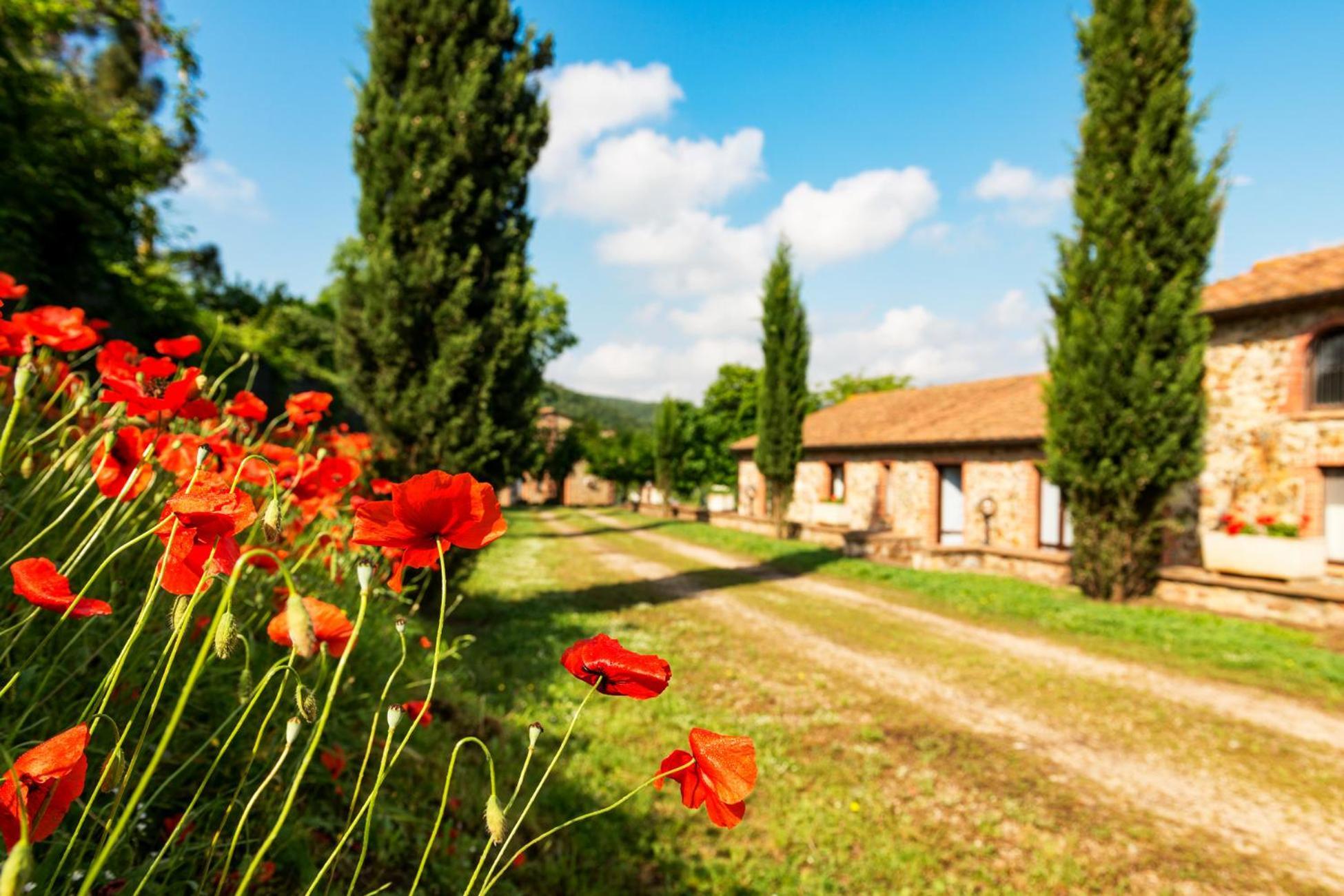 Podere Cascatelle&Agriletizia - Cascate Naturali Apartman Massa Marittima Kültér fotó